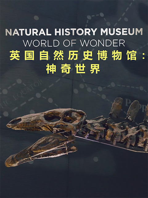 英国自然历史博物馆：神奇世界封面图