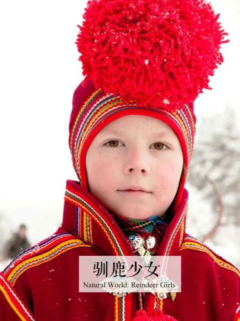 驯鹿少女封面图