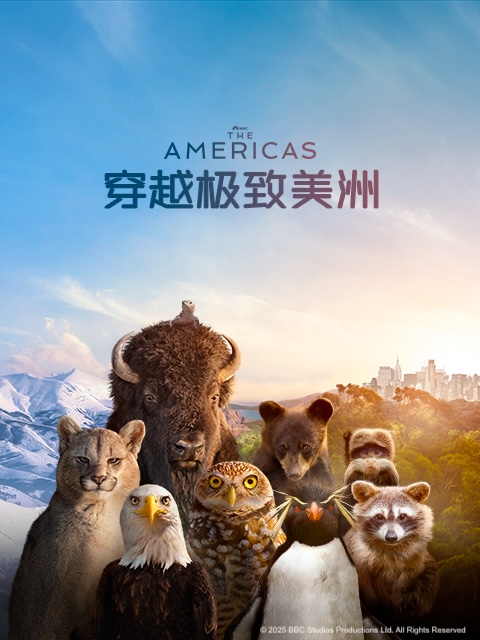 穿越极致美洲封面图