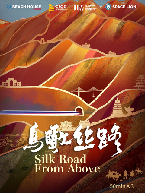 鸟瞰丝路封面图