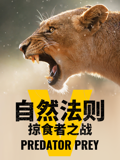 自然法则：掠食者之战封面图