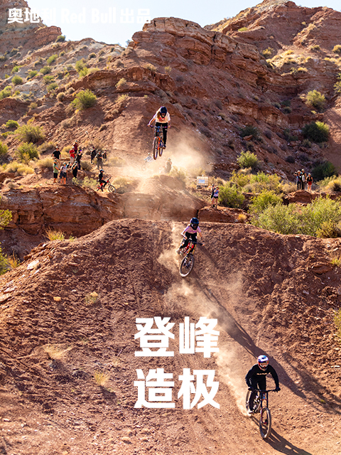 登峰造极封面图