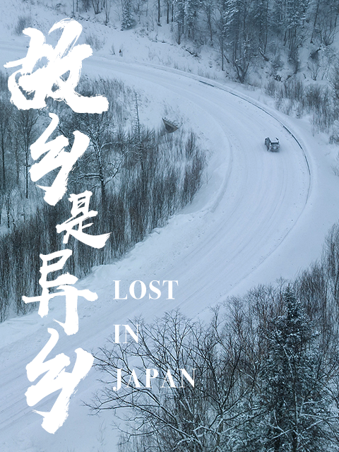 故乡是异乡封面图