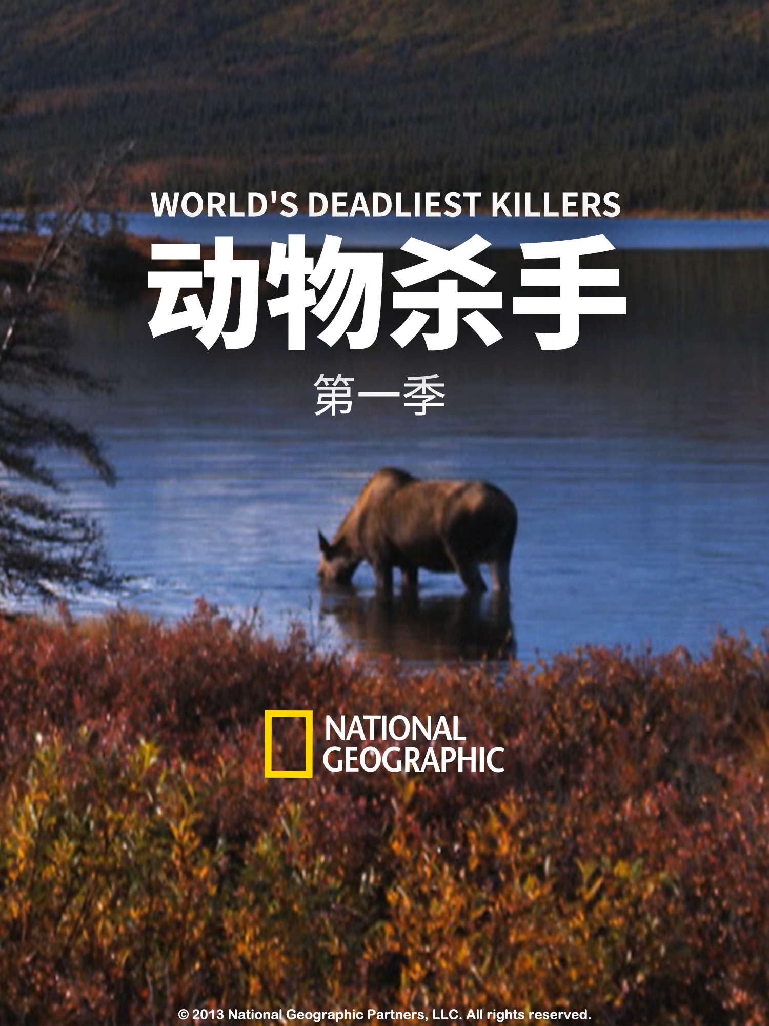 动物杀手 第一季封面图