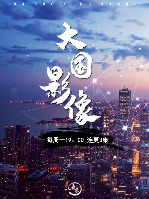 大国影像封面图