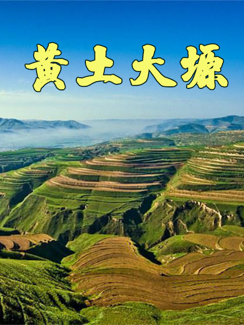 黄土大塬封面图
