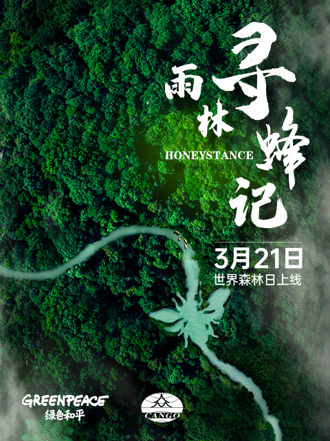 雨林寻蜂记封面图