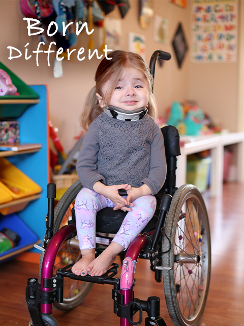 天赋异禀封面图