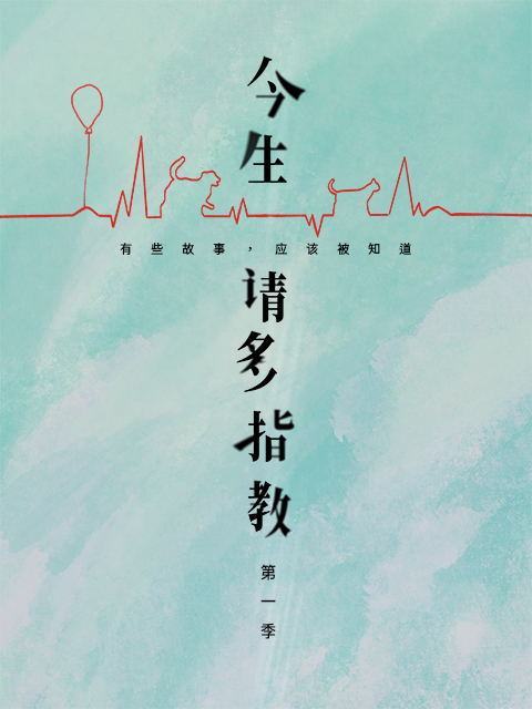 今生，请多指教封面图