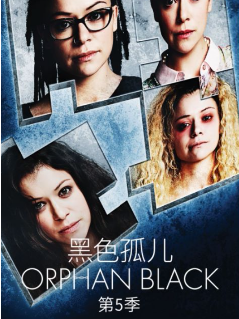 黑色孤儿 第五季封面图