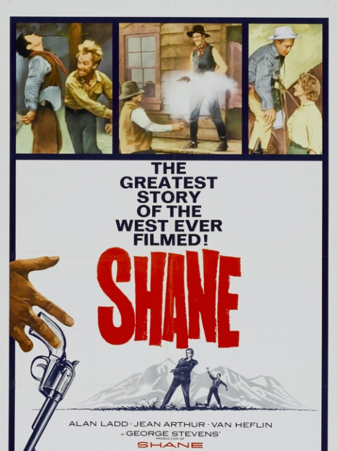 原野奇侠封面图