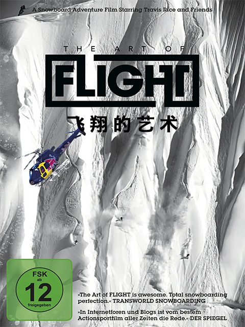 飞翔的艺术封面图