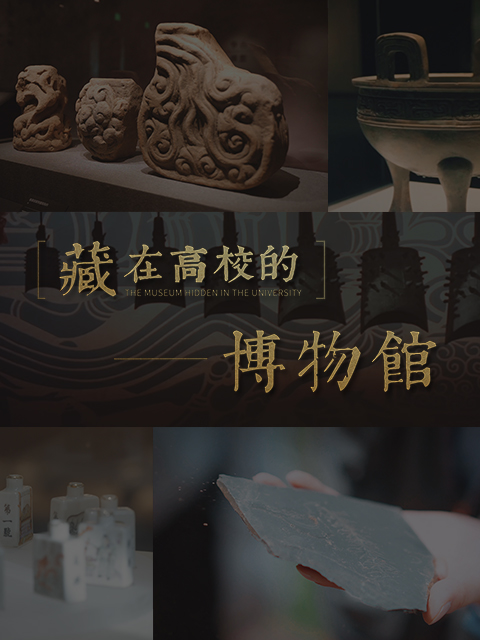 藏在高校的博物馆封面图