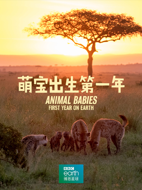萌宝出生第一年封面图