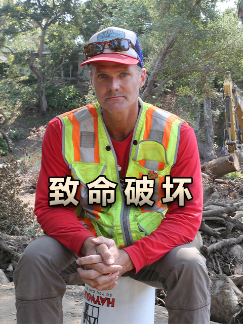 致命破坏封面图