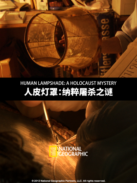 人皮灯罩：纳粹屠杀之谜封面图