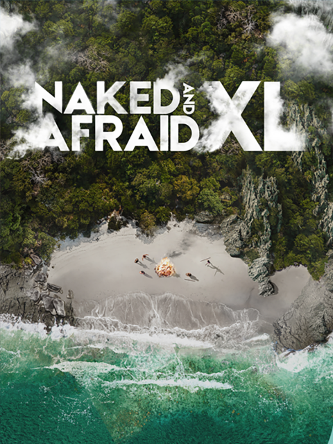 原始生活40天封面图