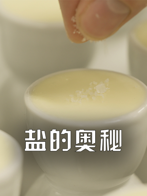 盐的奥秘封面图