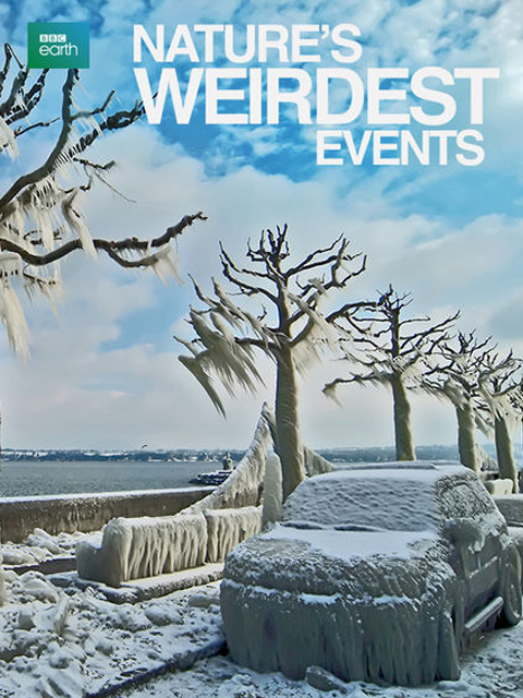 自然界最奇异的事件 第二季封面图