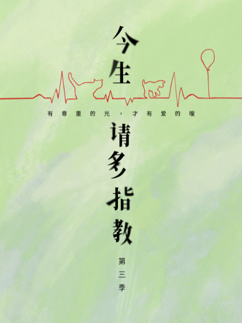 今生，请多指教3封面图