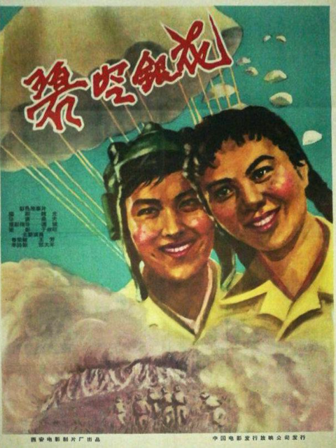 碧空银花封面图