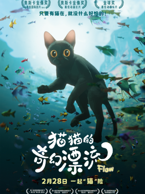 猫猫的奇幻漂流封面图