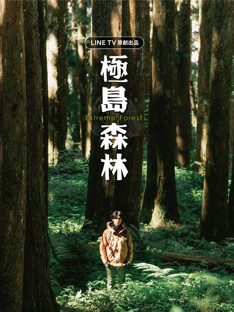 极岛森林封面图
