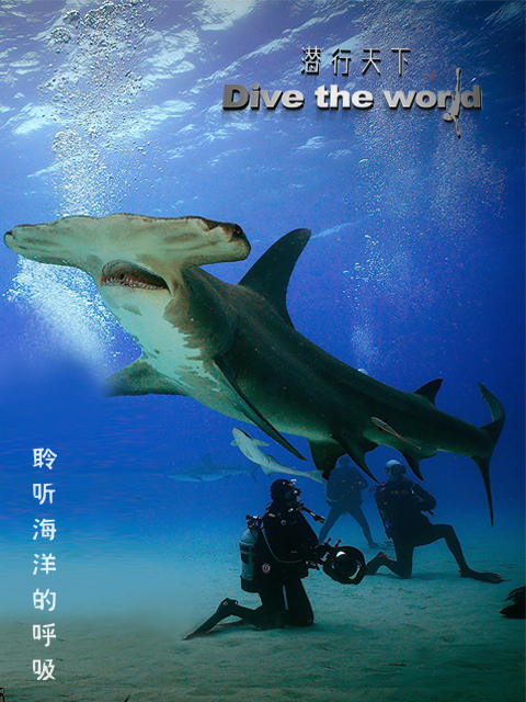 潜行天下封面图