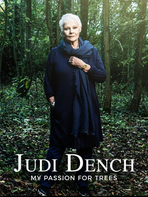 朱迪·丹奇：树之爱封面图