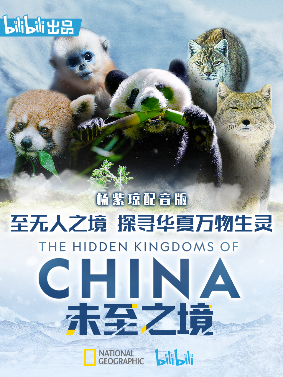 未至之境（杨紫琼配音版）封面图