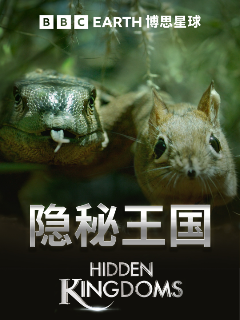 隐秘王国封面图