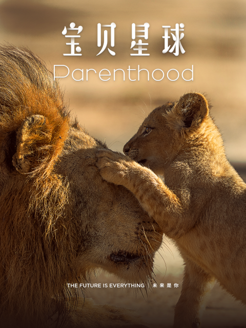 宝贝星球封面图