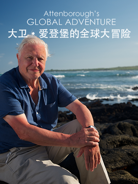 大卫·爱登堡的全球大冒险封面图