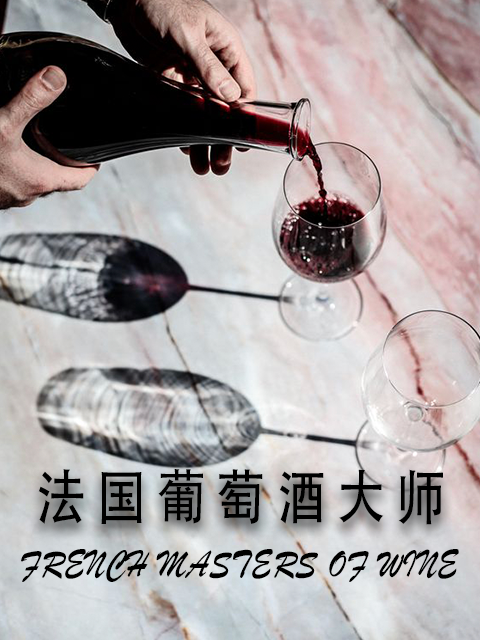 法国葡萄酒大师封面图