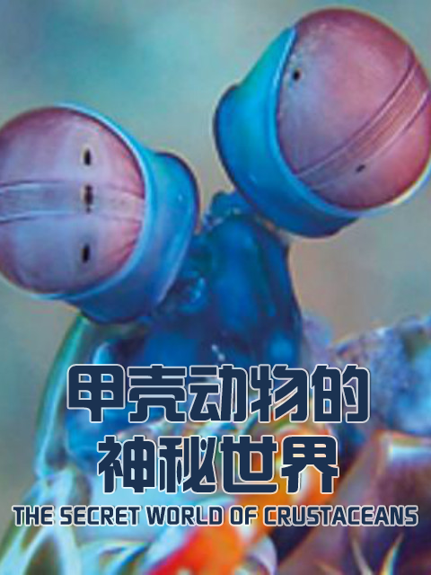 甲壳动物的神秘世界封面图