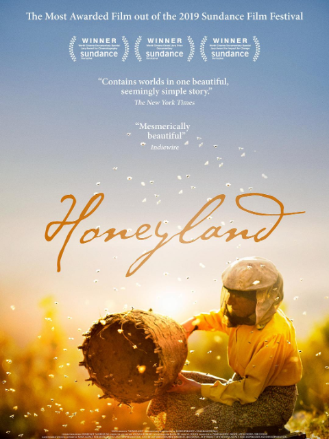 蜂蜜之地封面图