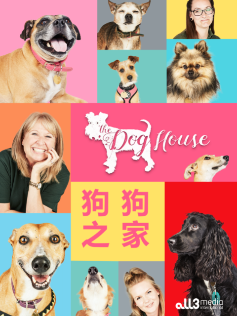 狗狗之家封面图