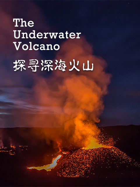 探寻深海火山封面图