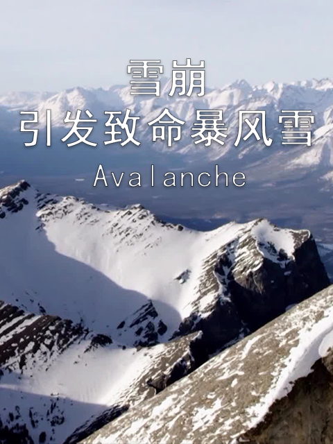 地平线系列之：雪崩引发致命暴风雪封面图