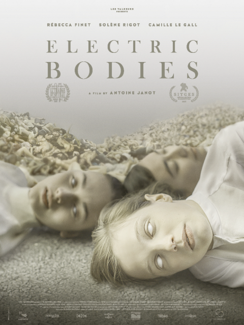 电子身体封面图