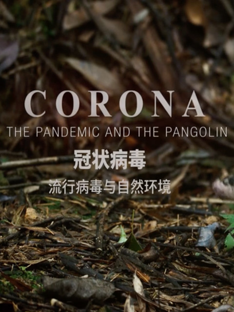 冠状病毒：流行病毒与自然环境封面图