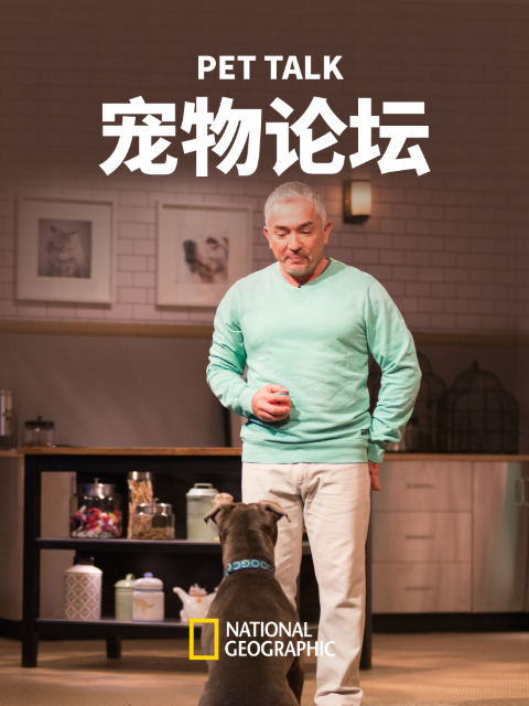 宠物论坛 第一季封面图