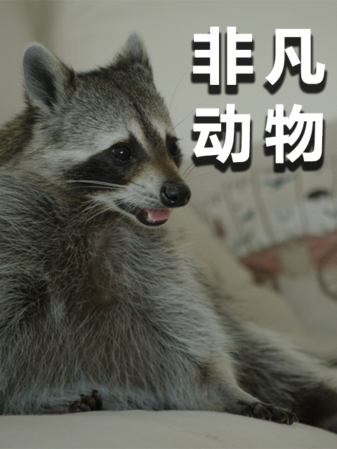 非凡动物封面图