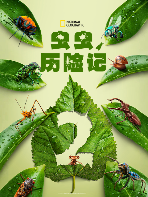虫虫历险记 第二季封面图
