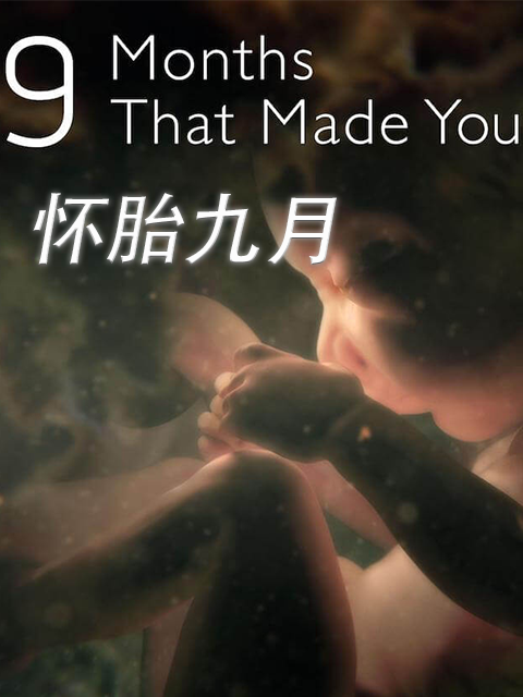 地平线系列: 怀胎九月封面图