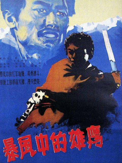 暴风中的雄鹰封面图