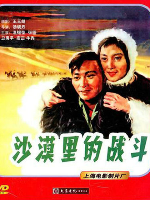 沙漠里的战斗封面图