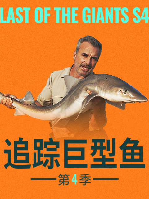 追踪巨型鱼 第四季封面图