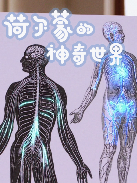 荷尔蒙的神奇世界封面图