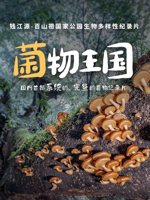 菌物王国封面图